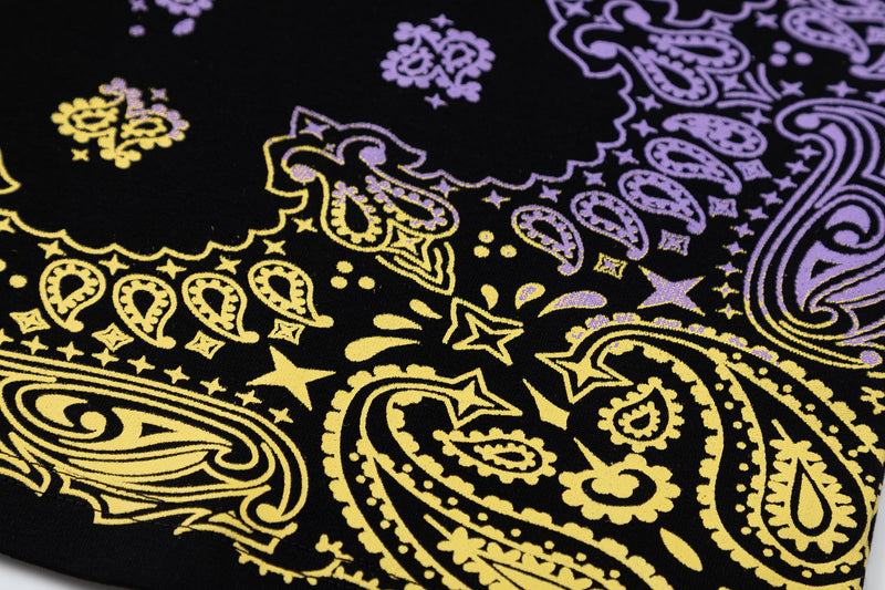 Camiseta Amiri Indian Star