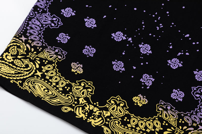 Camiseta Amiri Indian Star